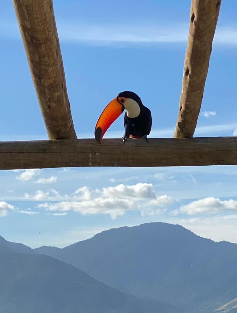 Casa De Praia Com Vista Para O Mar 圣塞巴斯蒂安 外观 照片